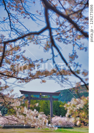 熊野本宮大社 大鳥居 桜 熊野本宮大社 大鳥居 桜 126273866