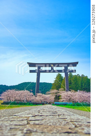 熊野本宮大社 大鳥居 桜 126273908