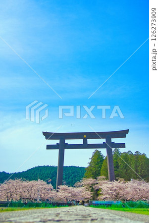 熊野本宮大社 大鳥居 桜 熊野本宮大社 大鳥居 桜 126273909