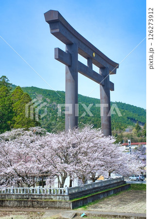 熊野本宮大社 大鳥居 桜 126273912