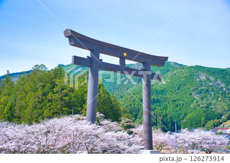 熊野本宮大社 大鳥居 桜 126273914