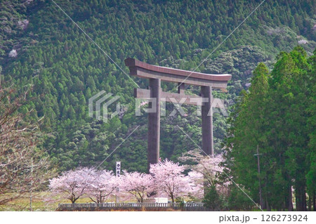 熊野本宮大社 大鳥居 桜 熊野本宮大社 大鳥居 桜 126273924