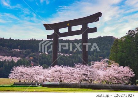 熊野本宮大社 大鳥居 桜 126273927