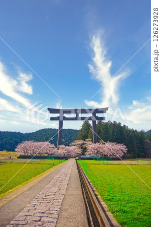 熊野本宮大社 大鳥居 桜 126273928