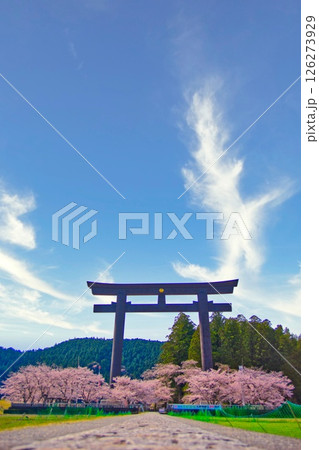 熊野本宮大社 大鳥居 桜 126273929