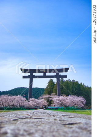 熊野本宮大社 大鳥居 桜 126273932