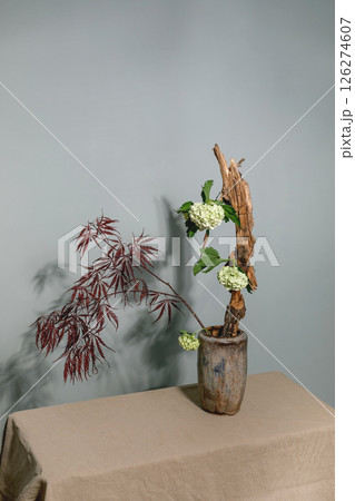 Traditional ikebana floral arrangement ceramic vase featuring red Japanese maple leaves white hydrangea flowers and driftwood on beige tablecloth against gray wall 126274607