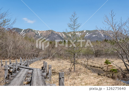 栃木県那須高原沼ッ原湿原木道のある風景 126275640