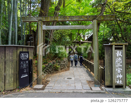 新緑に包まれた報徳二宮神社の入口（神奈川県小田原市） 126275777