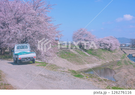 万水川沿いの桜【安曇野市】 126276116