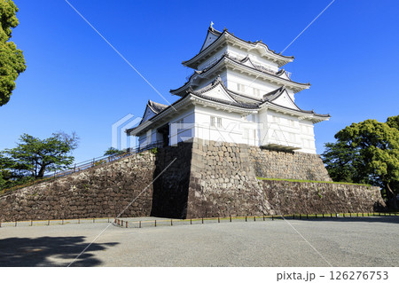 小田原城址の初夏 小田原城址の初夏 126276753