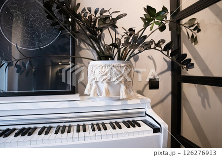 A cozy corner featuring a white piano adorned with a decorative plant in a contemporary home setting. Flower pot with zamioculcas plant decorated with diy macrame A cozy corner featuring a white piano adorned with a decorative plant in a contemporary home setting. Flower pot with zamioculcas plant decorated with diy macrame 126276913