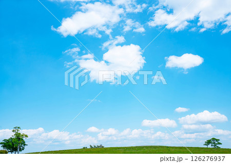 青空と草原 青空と草原 126276937