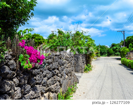 ブーゲンビリアの咲く竹富島(沖縄県竹富町) ブーゲンビリアの咲く竹富島(沖縄県竹富町) 126277109