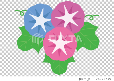 アサガオのイラスト素材 アサガオのイラスト素材 126277659