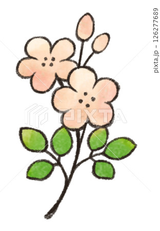 水彩風タッチの花のデフォルメワンポイントイラスト 春夏向け 水彩風タッチの花のデフォルメワンポイントイラスト 春夏向け 126277689