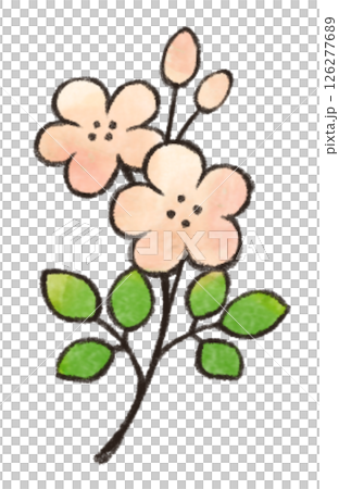 水彩風タッチの花のデフォルメワンポイントイラスト 春夏向け 水彩風タッチの花のデフォルメワンポイントイラスト 春夏向け 126277689