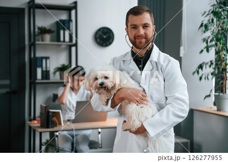 Woman is sitting by laptop. Male and female doctors are taking care of maltese dog in the clinic 126277955