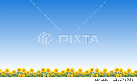 ひまわり畑と青空のある夏の風景_2 ひまわり畑と青空のある夏の風景_2 126278038