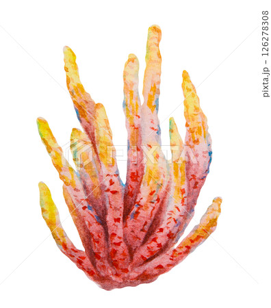 Yellow and red coral colony. Watercolor hand painted marine illustration. Perfect for diving, snorkeling, aquarium decor, tropical reef projects, sea life education, and travel designs. 126278308