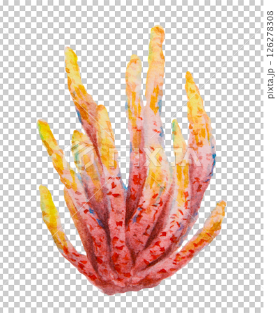 Yellow and red coral colony. Watercolor hand painted marine illustration. Perfect for diving, snorkeling, aquarium decor, tropical reef projects, sea life education, and travel designs. 126278308