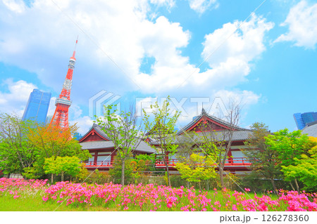 東京都港区、東京タワーと花壇の風景 東京都港区、東京タワーと花壇の風景 126278360