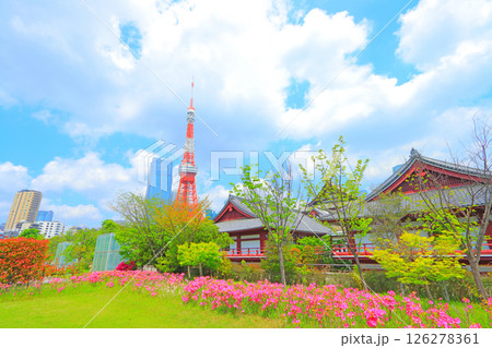 東京都港区、東京タワーと花壇の風景 126278361