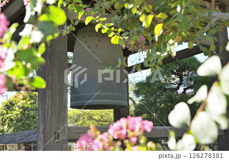 佐野散歩：浄土宗　宝龍寺　栃木県佐野市大祝町 126278381