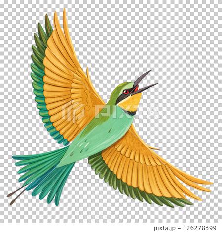 Cute bird, children's book style White Background 126278399