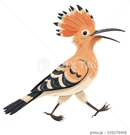 Cute bird, children's book style White Background 126278408