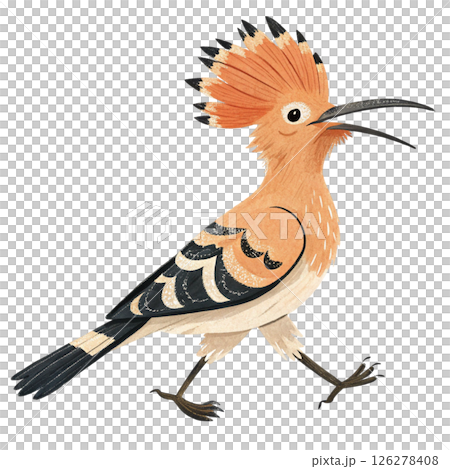Cute bird, children's book style White Background 126278408