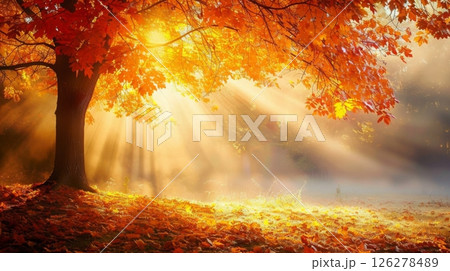 Golden sunlight filters through the branches of an autumn tree, illuminating the colorful foliage and fallen leaves in a serene outdoor setting. Golden sunlight filters through the branches of an autumn tree, illuminating the colorful foliage and fallen leaves in a serene outdoor setting. 126278489