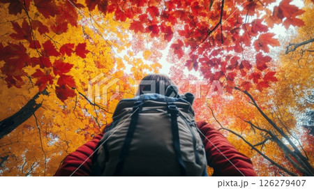 A person stands beneath a canopy of brilliantly colored autumn leaves, looking up at the bright reds and yellows. The scene captures the beauty of nature during a serene fall hike. A person stands beneath a canopy of brilliantly colored autumn leaves, looking up at the bright reds and yellows. The scene captures the beauty of nature during a serene fall hike. 126279407