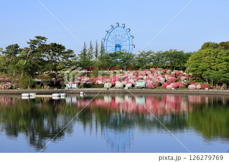 水面に反射する満開のツツジ 水面に反射する満開のツツジ 126279769