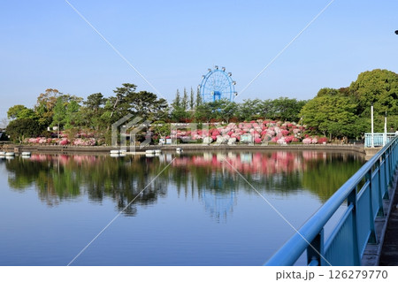 垂涎に反射する満開のツツジ 126279770