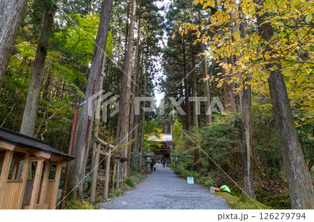 御岩神社　秋の参道 126279794