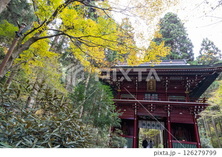 秋の御岩神社 楼門 秋の御岩神社 楼門 126279799