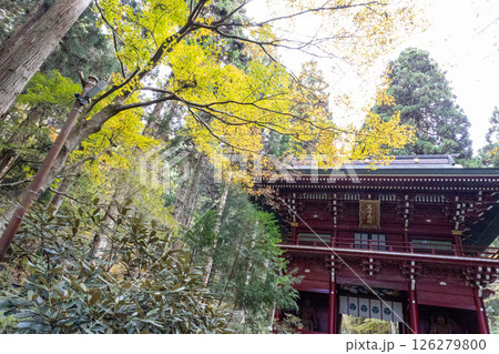 秋の御岩神社 楼門 秋の御岩神社 楼門 126279800