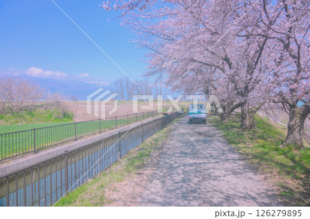 矢原堰と万水川沿いの桜並木【安曇野市】 矢原堰と万水川沿いの桜並木【安曇野市】 126279895