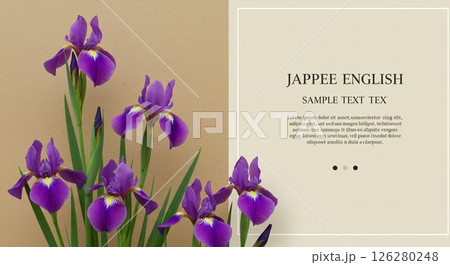 鮮やかな紫色のアヤメと落ち着いたベージュの背景 126280248