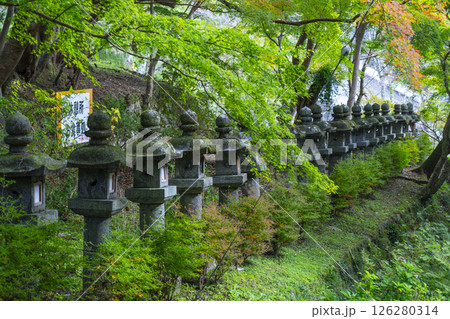 談山神社 新緑に包まれた石燈籠 談山神社 新緑に包まれた石燈籠 126280314