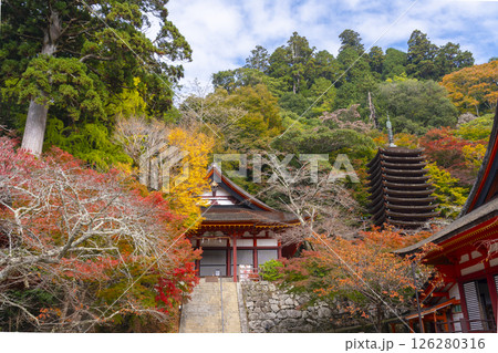 談山神社 紅葉に包まれた権殿・十三重塔・神廟拝所 談山神社 紅葉に包まれた権殿・十三重塔・神廟拝所 126280316