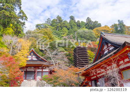 談山神社　紅葉に包まれた権殿・十三重塔・神廟拝所 126280319