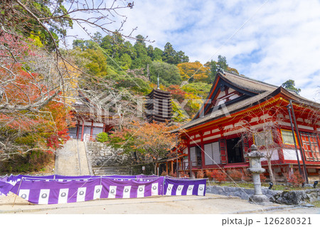 談山神社　紅葉に包まれた権殿・十三重塔・神廟拝所 126280321