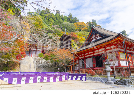 談山神社　紅葉に包まれた権殿・十三重塔・神廟拝所 126280322