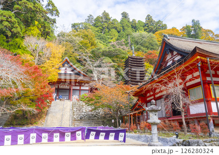 談山神社 紅葉に包まれた権殿・十三重塔・神廟拝所 談山神社 紅葉に包まれた権殿・十三重塔・神廟拝所 126280324