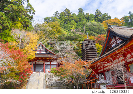 談山神社　紅葉に包まれた権殿・十三重塔・神廟拝所 126280325