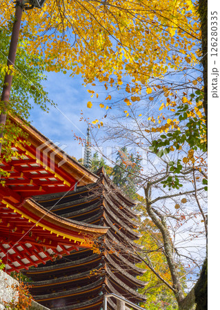 談山神社 紅葉に包まれた権殿と十三重塔 談山神社 紅葉に包まれた権殿と十三重塔 126280335