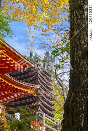 談山神社　紅葉に包まれた権殿と十三重塔 126280336