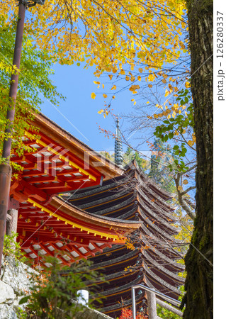 談山神社　紅葉に包まれた権殿と十三重塔 126280337
